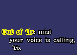 6)? E312 mist
your voice is calling,
,tiE.