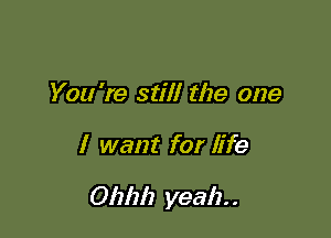 You're still the one

I want for life

Ohlzh yeah. .