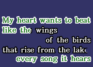 mmmwu
EE 19162 wings

of the birds
that rise from the lakn-

mmmm