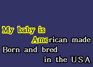 Whig

Marian made
Born and bred
in the USA