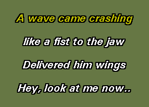 A wave came crashing

like a fist to the jaw

Delivered him wings

Hey, look at me now..