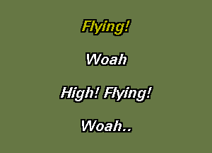 Flying!

Woah

High! Flying!

Woah..