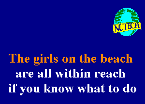 The girls on the beach
are all within reach
if you know What to do