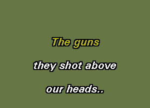 The guns

they shot above

our heads..