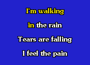 I'm walking

in the rain

Tears are falling

I feel the pain