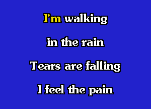 I'm walking

in the rain

Tears are falling

I feel the pain