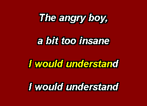 The angry boy,

a bit too insane
I would understand

I woufd understand