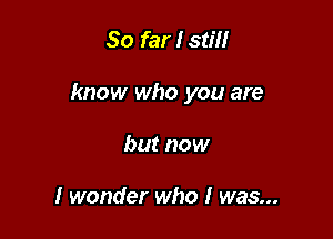 So far I still

know who you are

but now

I wonder who I was...