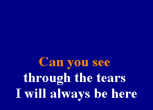 Can you see
through the tears
I will always be here