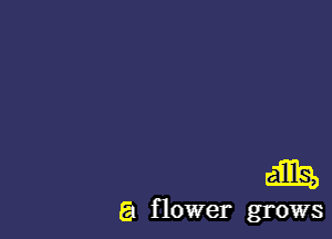 ring,

a flower grows