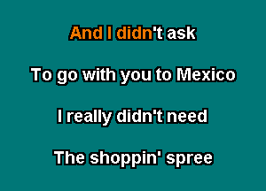 And I didn't ask
To go with you to Mexico

I really didn't need

The shoppin' spree