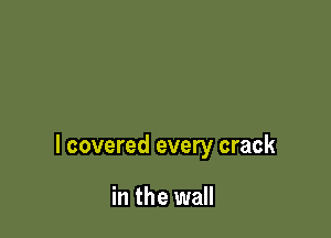 I covered every crack

in the wall