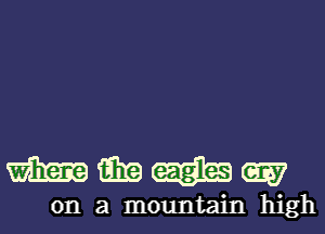 Halsey

on a mountain high