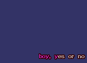 boy, yes or no