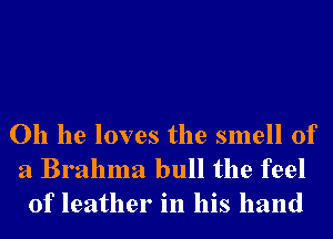 Oh he loves the smell of
a Brahma bull the feel
of leather in his hand