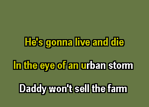 He's gonna live and die

In the eye of an urban storm

Daddy won't sell the farm