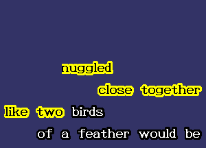 FEE) birds

of a feather would be