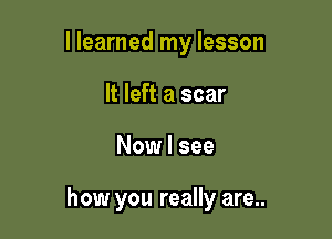 I learned my lesson
It left a scar

Now I see

how you really are..