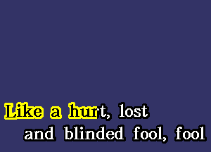 E539 a 131mm lost
and blinded fool, fool