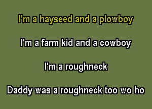 I'm a hayseed and a plowboy

I'm a farm kid and a cowboy

I'm a roughneck

Daddy was a roughneck too we ho