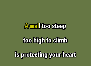 A wall too steep

too high to climb

is protecting your heart