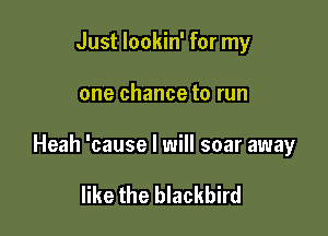 Just lookin' for my

one chance to run

Heah 'cause I will soar away

like the blackbird