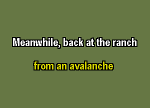 Meanwhile, back at the ranch

from an avalanche