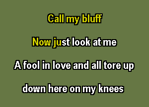 Call my bluff

Now just look at me

A fool in love and all tore up

down here on my knees