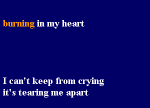 burning in my heart

I can't keep from crying
it's tearing me apart