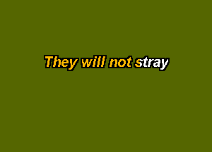 They Wm not stray
