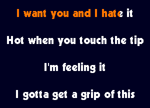 I want you and I hate it
Hot when you touch the tip

I'm feeling it

I gotta get a grip ofthis