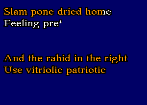 Slam pone dried home
Feeling pref

And the rabid in the right
Use vitriolic patriotic