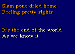 Slam pone dried home
Feeling pretty sights

Its the end of the world
As we know it