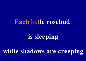 Each little rosebud

is sleeping

while shadows are creeping