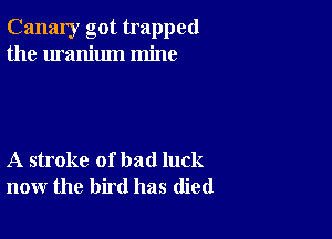 Canary got trapped
the uranium mine

A stroke of bad luck
now the bird has (lied