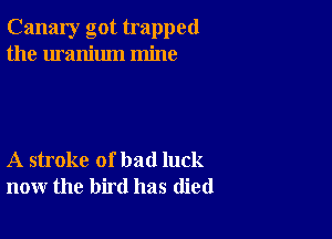 Canary got trapped
the uranium mine

A stroke of bad luck
now the bird has (lied