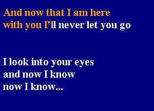 And now that I am here
With you I'll never let you go

I look into your eyes
and now I know
now I know...