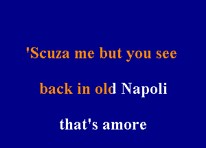 'Scuza me but you see

back in old Napoli

that's amore