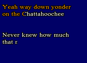 Yeah way down yonder
on the Chattahoochee

Never knew how much
that r
