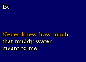 Never knew how much
that muddy water
meant to me