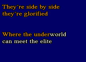 They're side by side
they're glorified

XVhere the underworld
can meet the elite