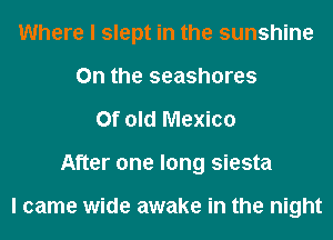 Where I slept in the sunshine
0n the seashores
Of Old Mexico
After one long siesta

I came wide awake in the night