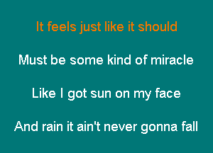 It feels just like it should
Must be some kind of miracle
Like I got sun on my face

And rain it ain't never gonna fall