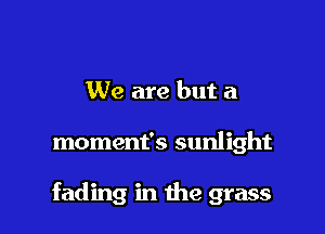We are but a

moment's sunlight

fading in the grass