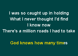 I was so caught up in holding
What I never thought I'd find
I know now
There's a million roads I had to take

God knows how many times