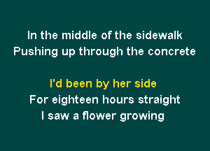 In the middle of the sidewalk
Pushing up through the concrete

I'd been by her side
For eighteen hours straight
I saw a flower growing