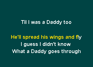 Til I was a Daddy too

He'll spread his wings and fly
I guess I didn't know
What a Daddy goes through