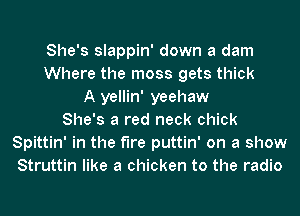 She's slappin' down a dam
Where the moss gets thick
A yellin' yeehaw
She's a red neck chick
Spittin' in the fire puttin' on a show
Struttin like a chicken to the radio