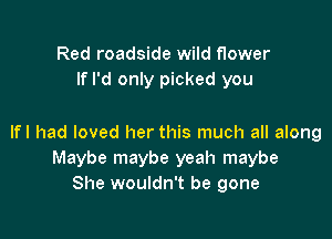 Red roadside wild flower
If I'd only picked you

lfl had loved her this much all along
Maybe maybe yeah maybe
She wouldn't be gone