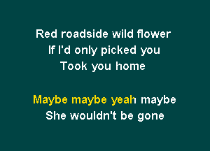 Red roadside wild flower
If I'd only picked you
Took you home

Maybe maybe yeah maybe
She wouldn't be gone
